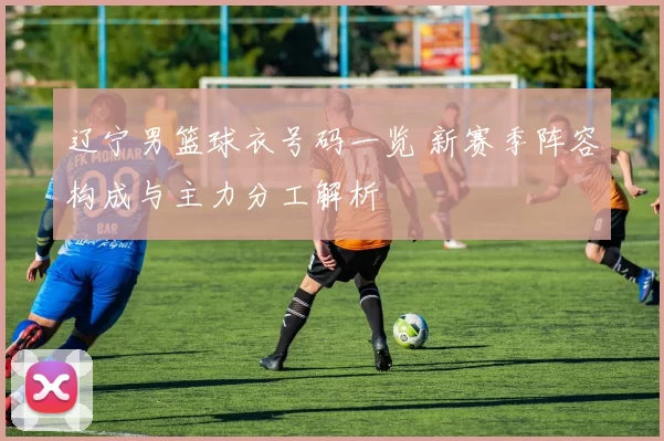 辽宁男篮球衣号码一览 新赛季阵容构成与主力分工解析