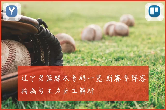 辽宁男篮球衣号码一览 新赛季阵容构成与主力分工解析
